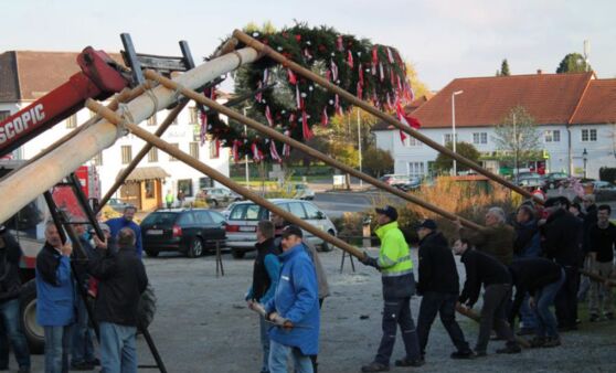 Maibaum aufstellen