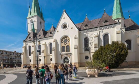 Partnerschulen trafen sich in Ungarn