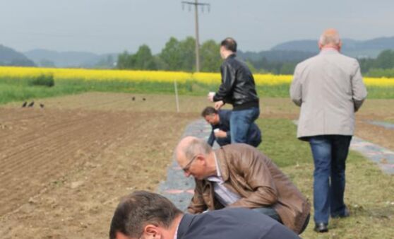 Prominenz setzt Kürbisse