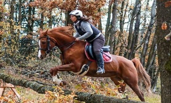 Fuchsjagd der Schönauer Pferdefreunde