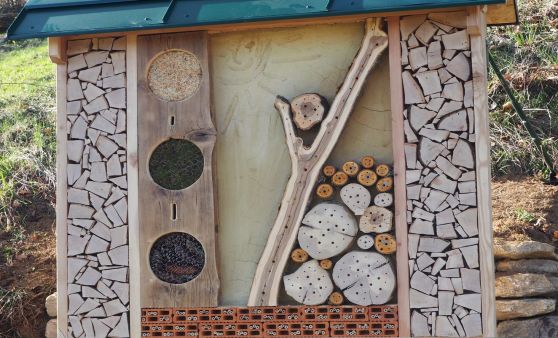 Insektenhotel eröffnet