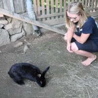 Tiergestützte Pädagogik am Dambachlerhof