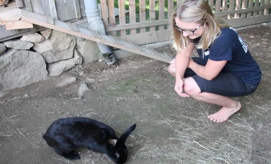 Tiergestützte Pädagogik am Dambachlerhof