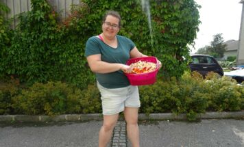 Bild 42