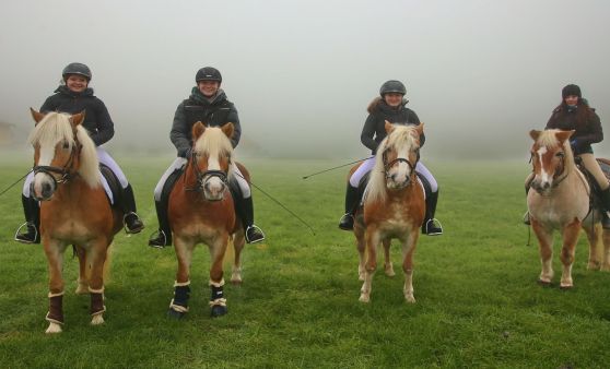 Leonharditt in Desselbrunn