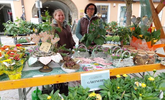 Blumenmarkt am Stadtplatz Vöcklabruck