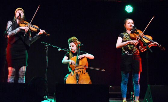 Zoafestival in Ardagger