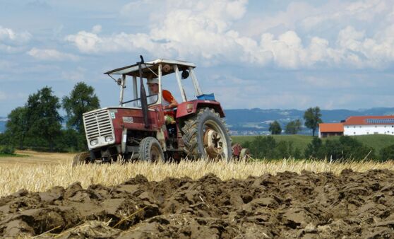 Gebietsentscheid Pflügen der Landjugend Sindelburg
