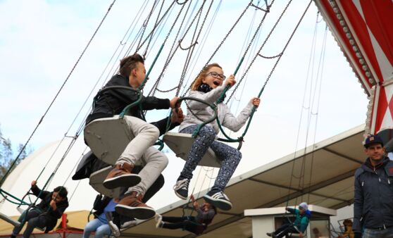 Kolomanikirtag Melk 2016