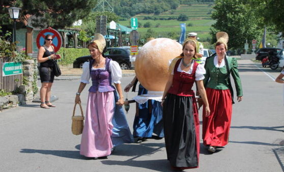 Marillenkirtag Spitz 2015