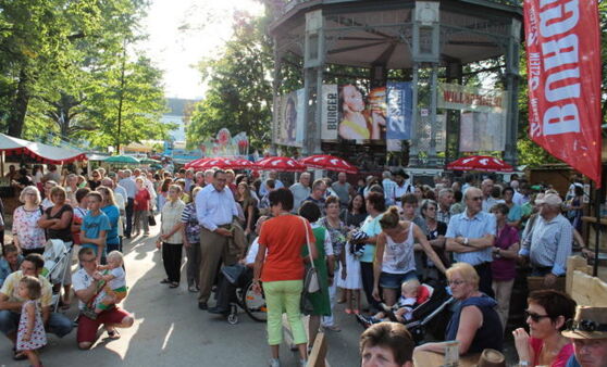 Wachauer Volksfest 2015