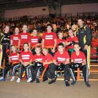 Budogala 2015 in Krems