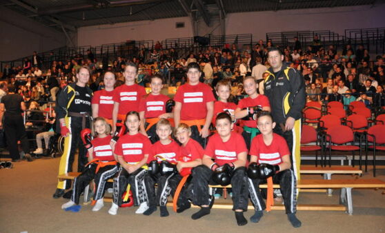 Budogala 2015 in Krems