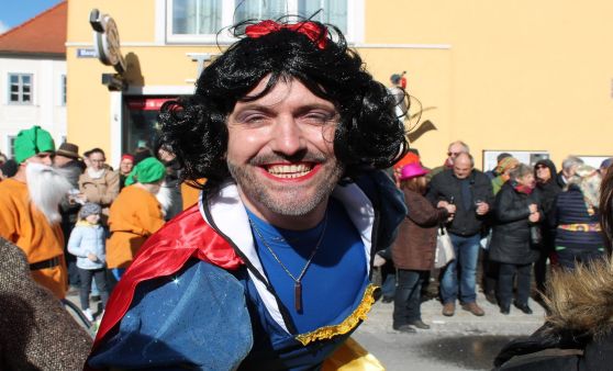 Faschingsumzug in Gföhl 2019