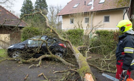 Sturmeinsatz in Alkoven