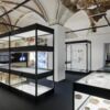 Archäologie: neue Dauerausstellung im Schlossmuseum gibt Einblicke in die Geschichte Oberösterreichs
