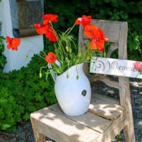 Tage der offenen Gartentür 2019 in OÖ Privatgärten