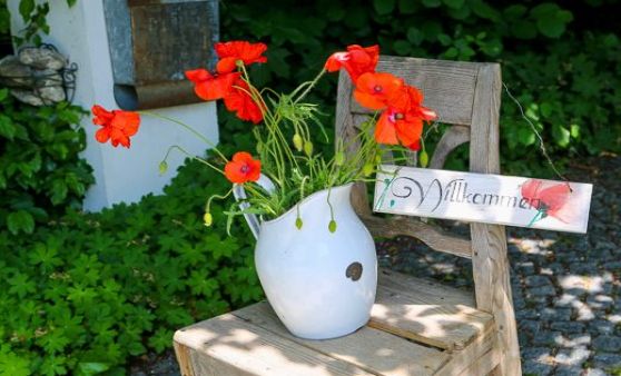 Tage der offenen Gartentür 2019 in OÖ Privatgärten