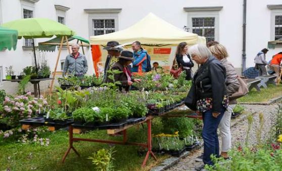 Johanni Markt im Stift Schlierbach