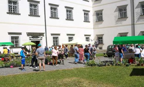 Johanni Markt Schlierbach - Tag 2