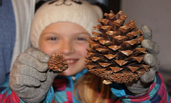 Adventkranzbinden 2016