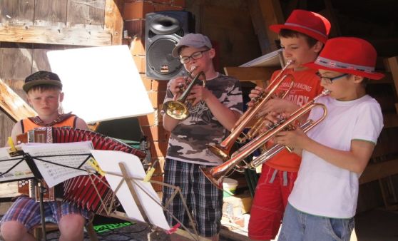 Maibaum umlegen 2017