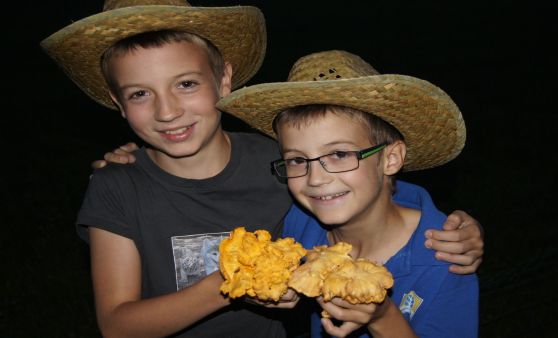 Riesen-Eierschwammerl gefunden!