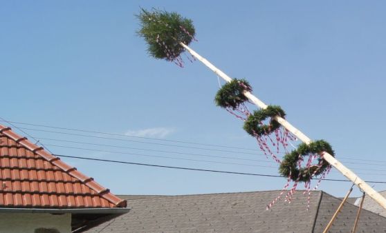 Maibaum im Herzhaften Höf Ruck-Zuck aufgestellt!