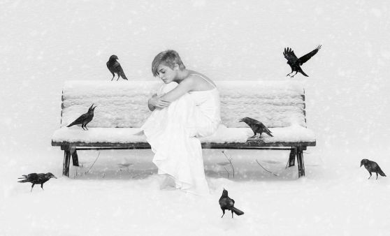 Acht Medaillen für Fotoklub Schwanenstadt