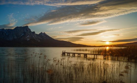 Best Moments of Austria - Erster Platz für Anita Stiedl