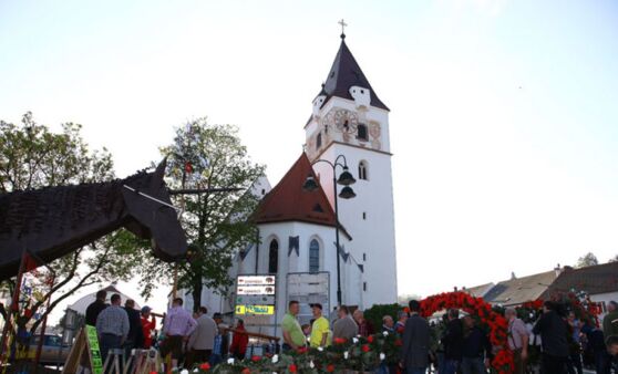 Perger Maibaumfest 2015