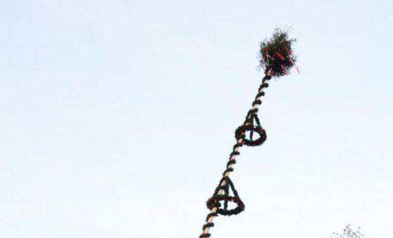 Maibaumaufstellen in Reindlmühl/Altmünster