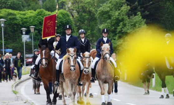 Georgiritt in Altmünster