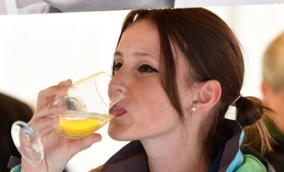 Landes-Mostfest in Bad Ischl