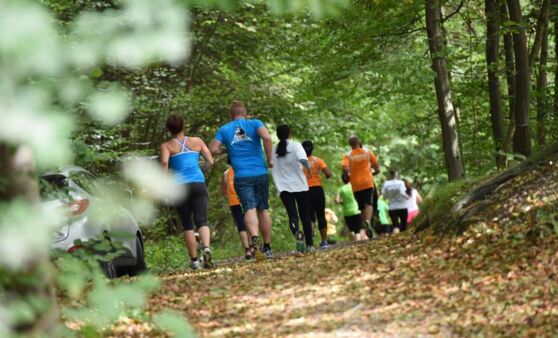 5-Brücken Lauf in Laakirchen