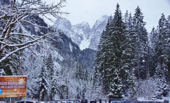 Waldweihnacht Gosau
