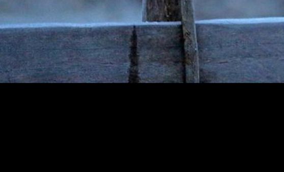 Wildromantische Gosauer Bergweihnacht