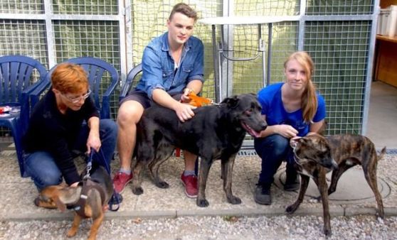 Tag der offenen Tür im Tierheim Altmünster