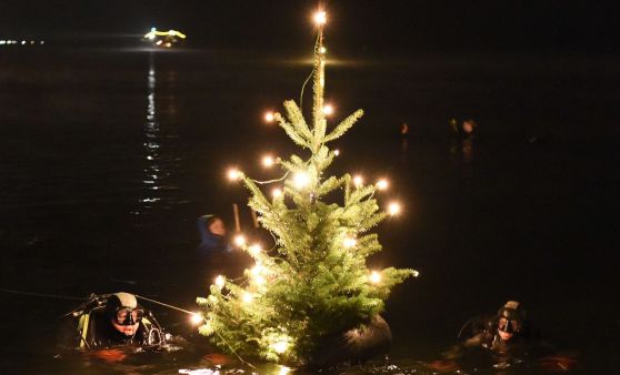 Christbaumtauchen in Gmunden