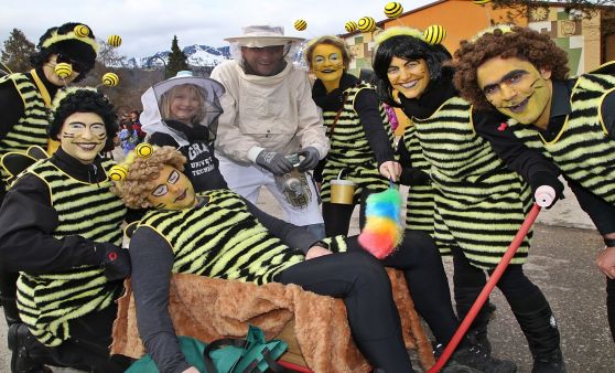 Faschingsumzug in Bad Goisern