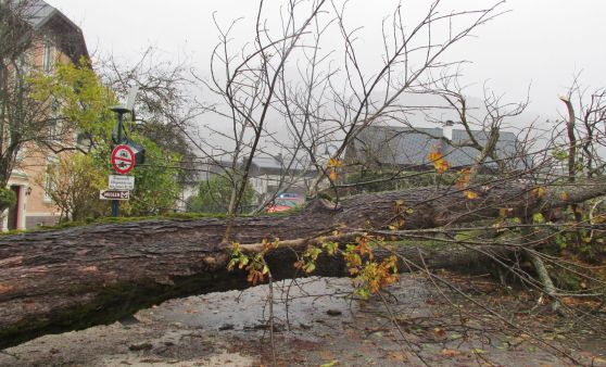 Sturmtief hielt FF Bad Goisern auf Trab