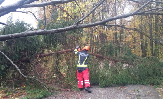 Stürmischer Sonntag in Ohlsdorf