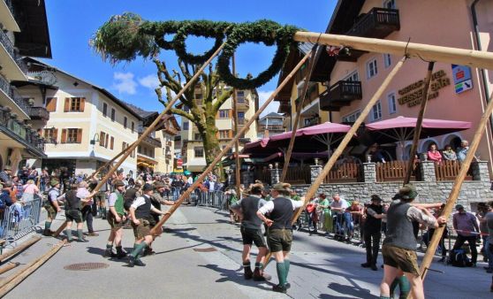 Die Maibäume stehen wieder