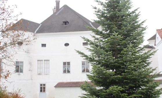 30. Hobby-Kunst-Adventsausstellung im Europaschloss Leiben