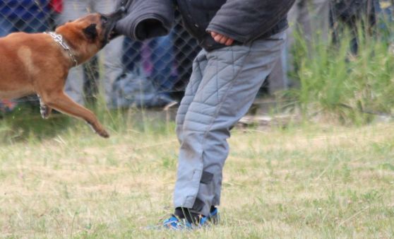 Tag der regionalen Einsatzorganisationen