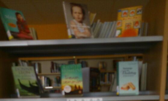 Neuzugänge in der Bücherei Wolfern - wir haben kräftig unseren Medienbestand aufgestockt