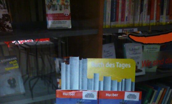 Neues Lesefutter u. neue Filme in der Bücherei Wolfern