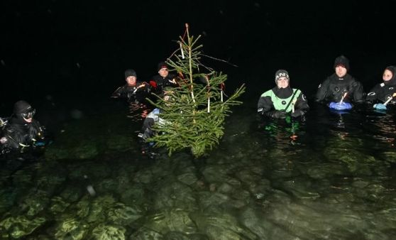 Christbaumversenken am Ratzersdorfer See