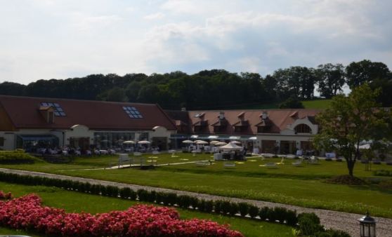 Hilfswerk Niederösterreich feierte Jubiläumssommerfest auf Schloss Thalheim