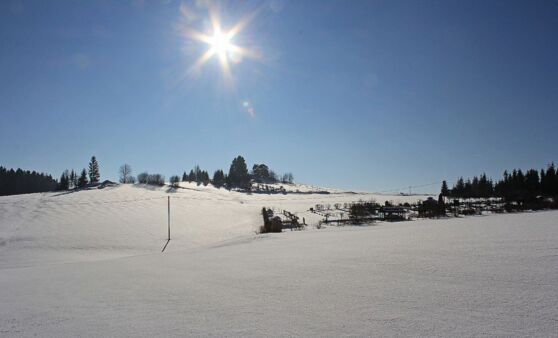 Ein Traumtag am Schanzberg in St. Georgen am Walde